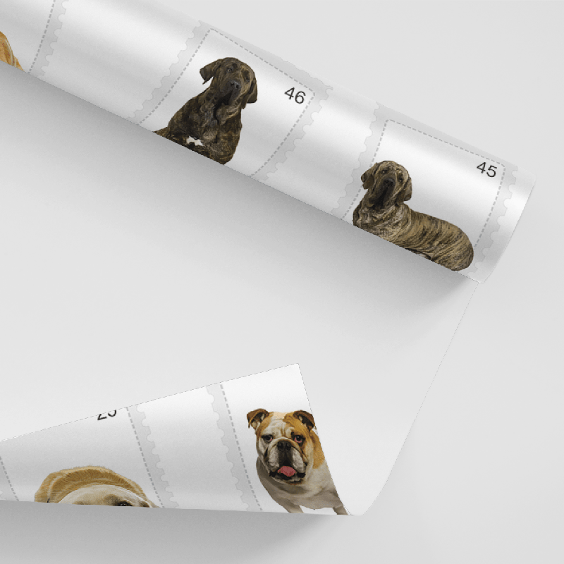 Papel De Parede Adesivo Animais - Retratos Cachorros Pet 