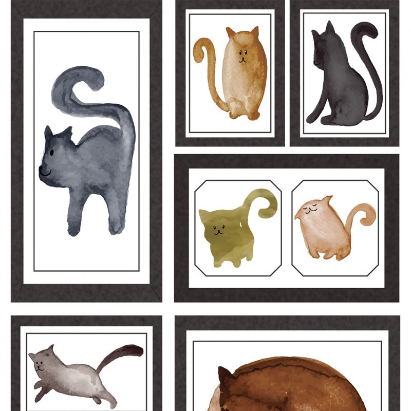 Papel De Parede Adesivo Animais - Retratos Gatos/Gatinhos 