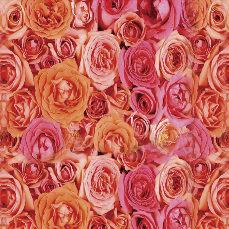 Papel De Parede Adesivo Floral - Floral Rosas Laranja Pink
