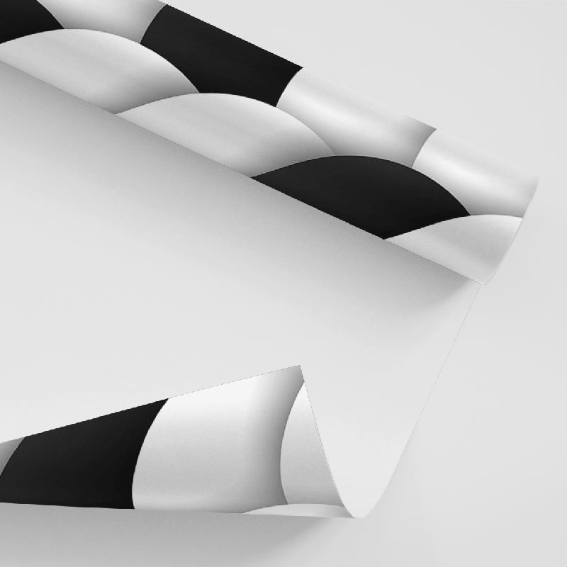 Papel De Parede Adesivo Geométrico - Geométrico Escamas Preto E Branco